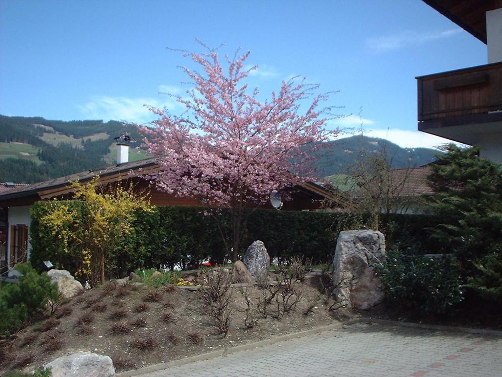 Pension Fuchs Brixen im Thale Exteriör bild